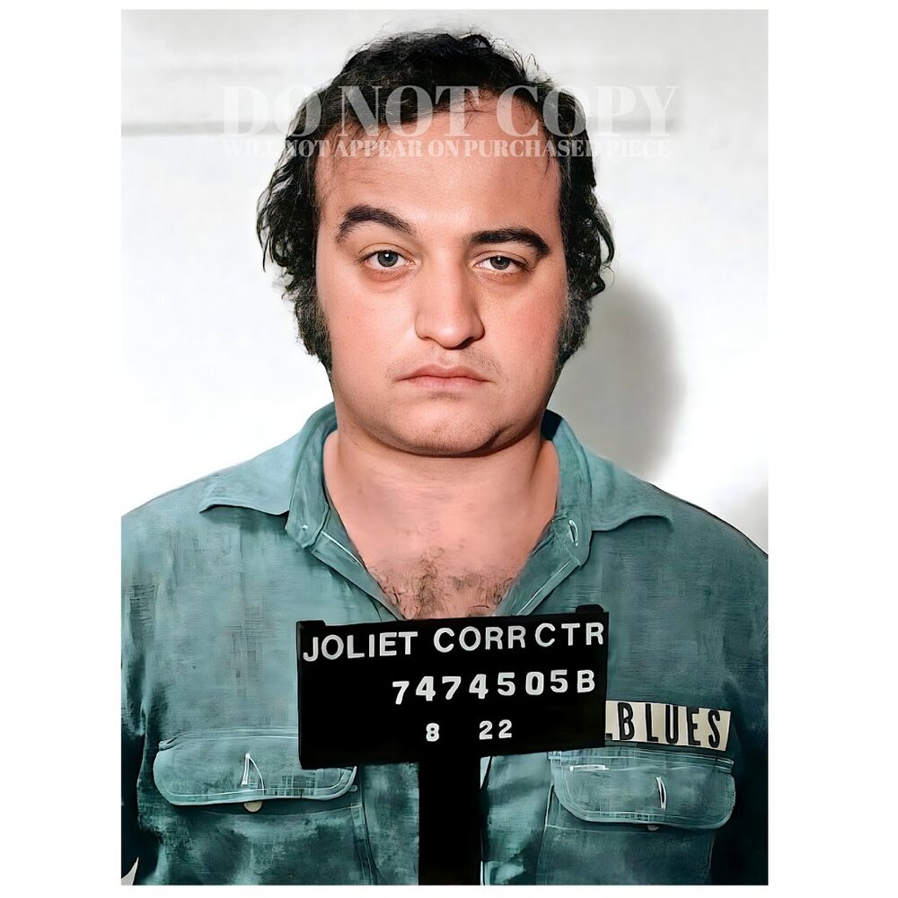 John Belushi Mugshot Photograph 11 X 15 | Blues Brothers Mug Shot | Poster Print